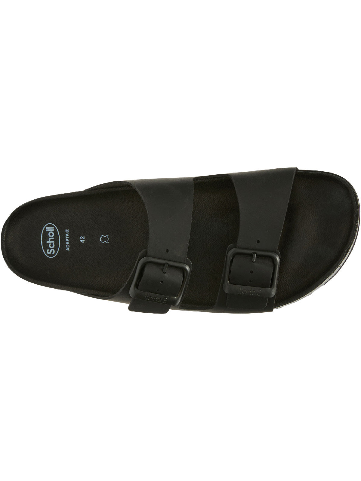 Scholl Julien