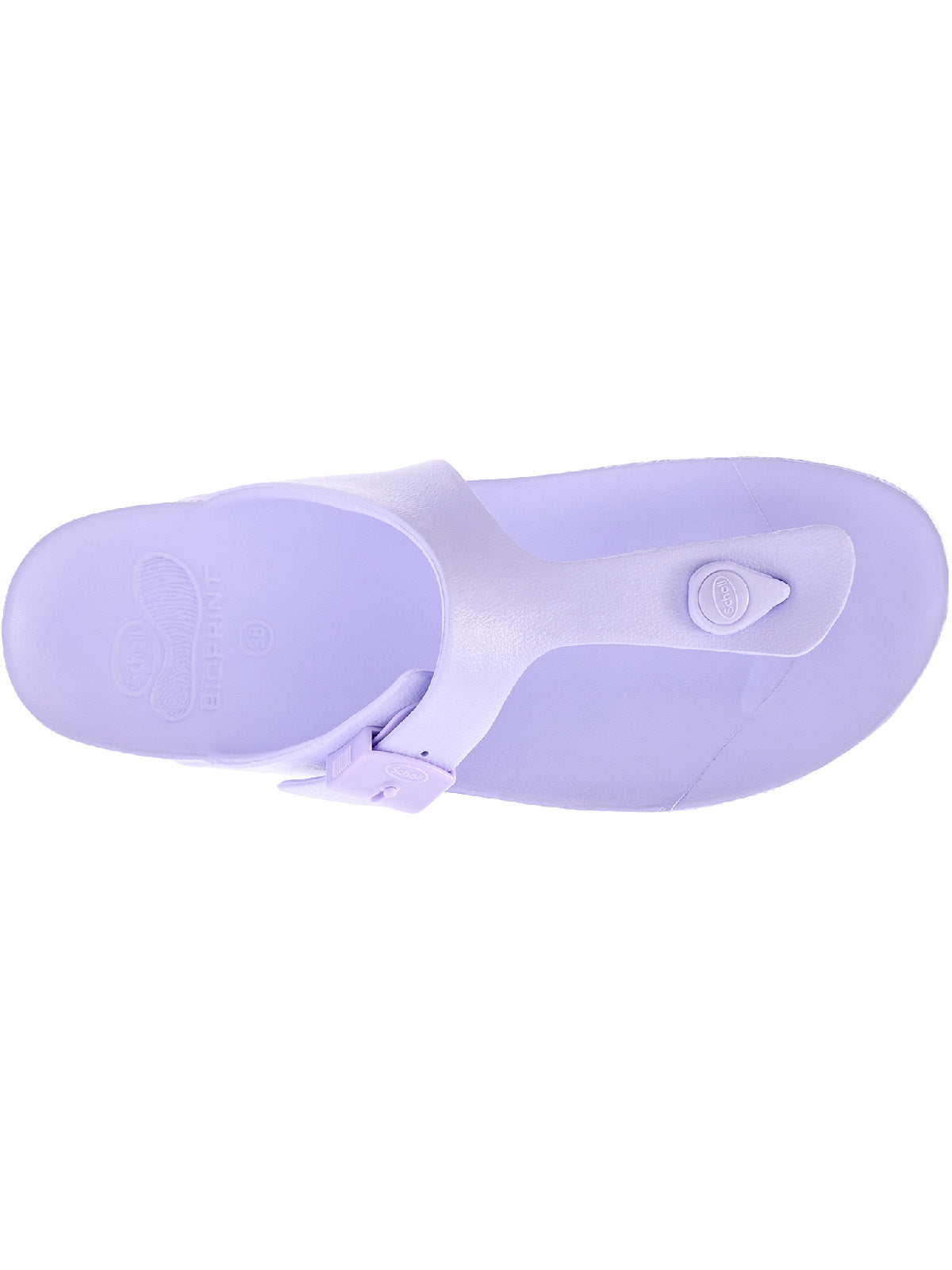 Scholl Bahia