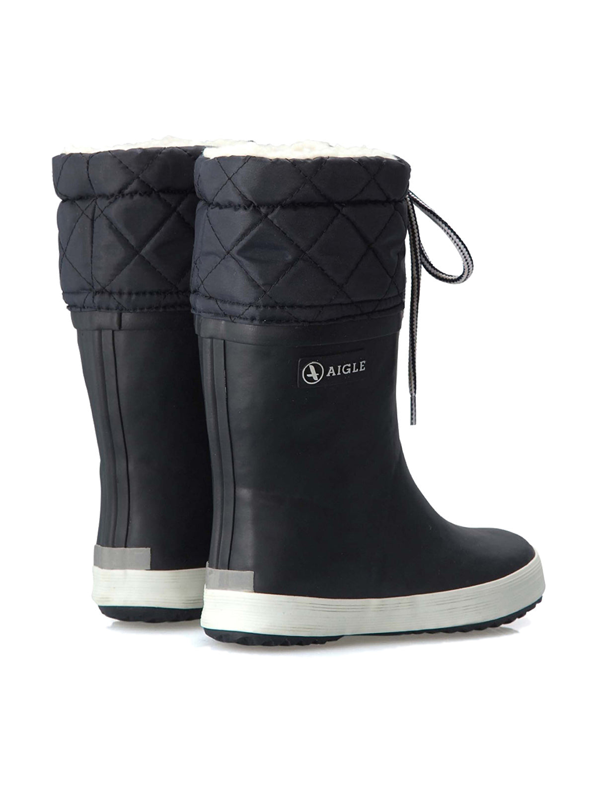 Aigle Giboulee