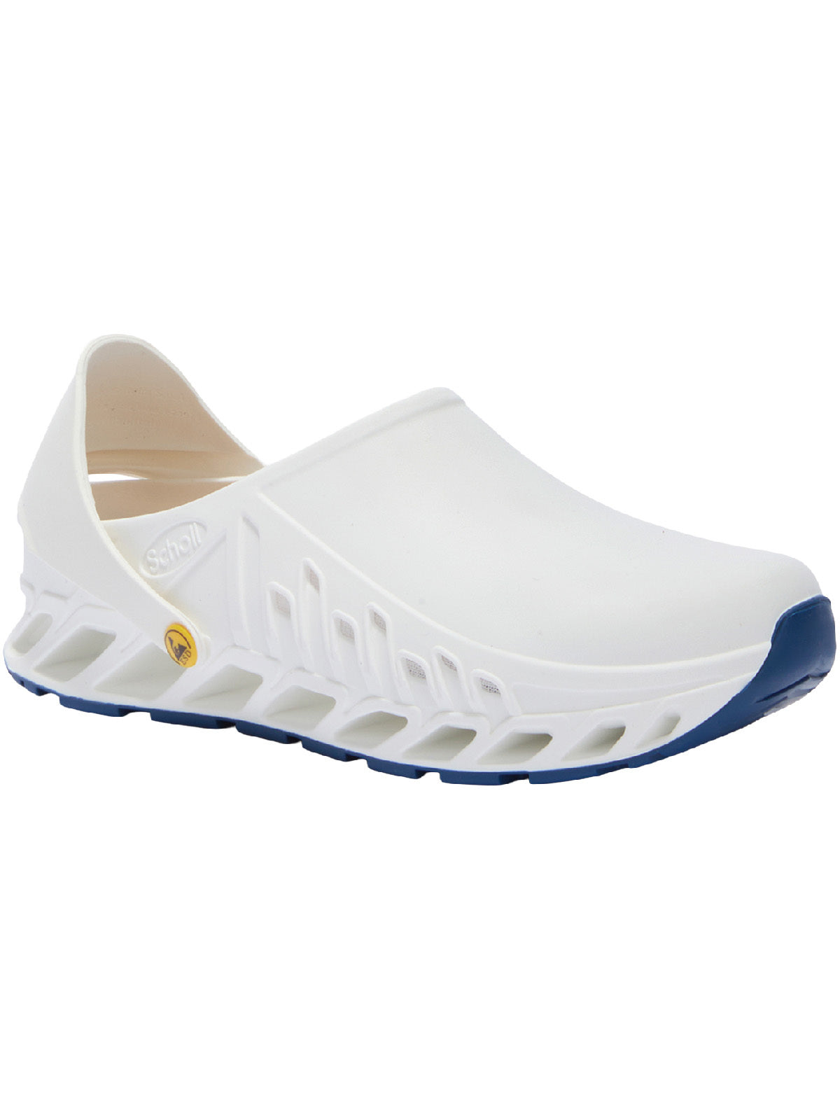 Scholl Evoflex