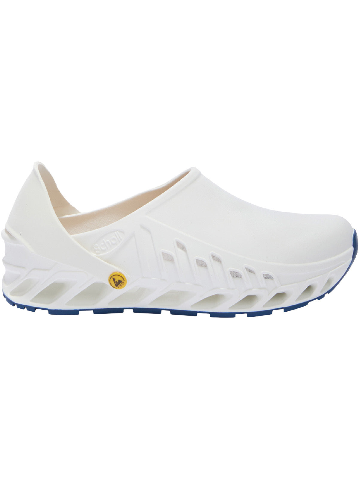 Scholl Evoflex