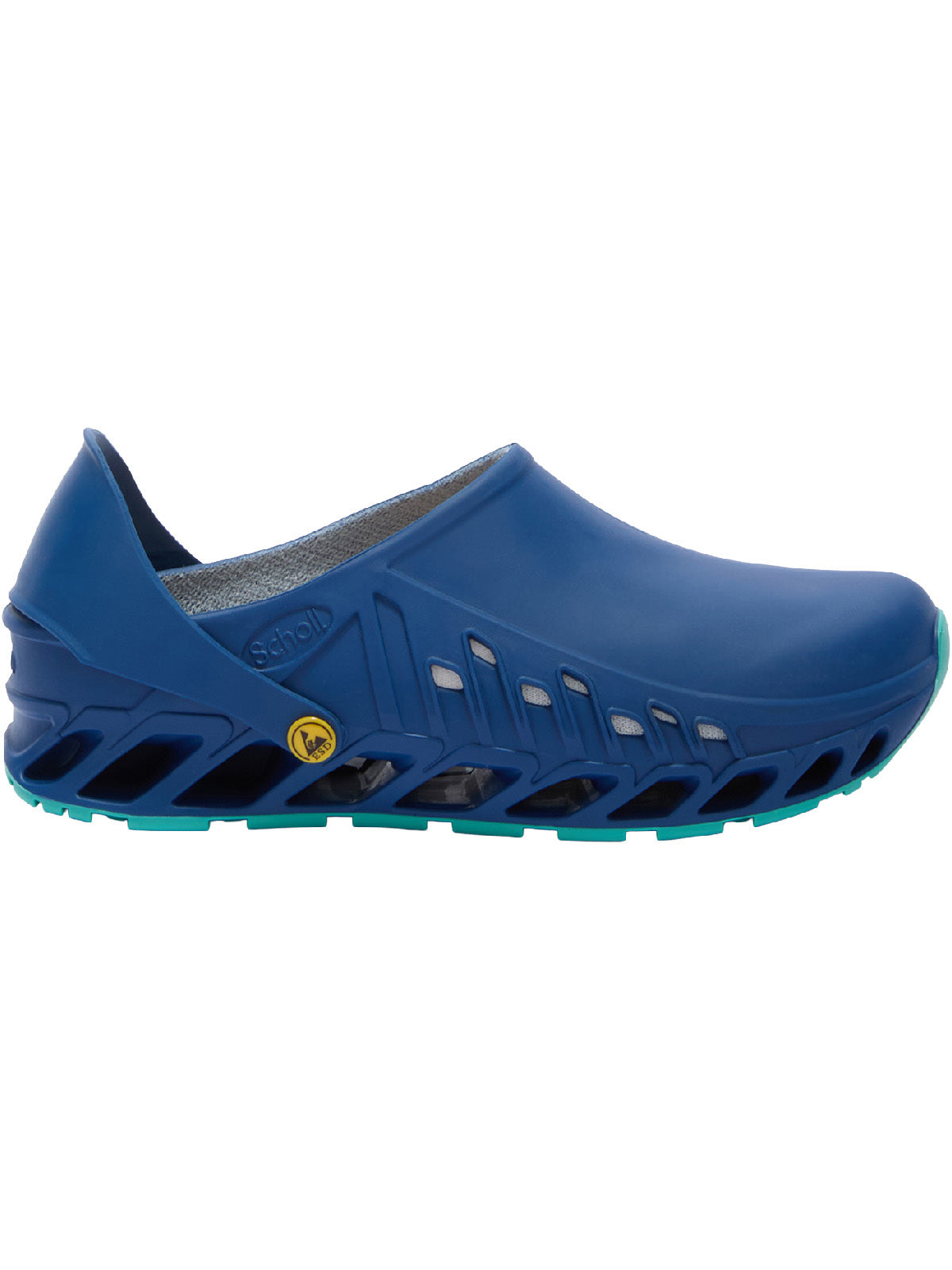 Scholl Evoflex