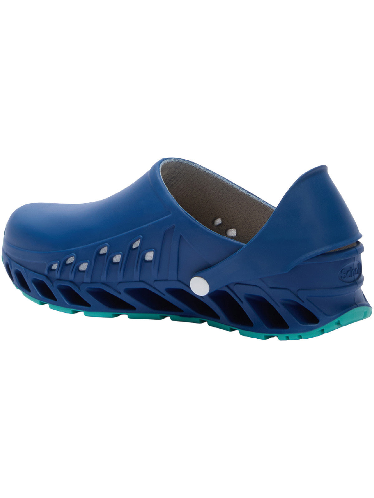 Scholl Evoflex