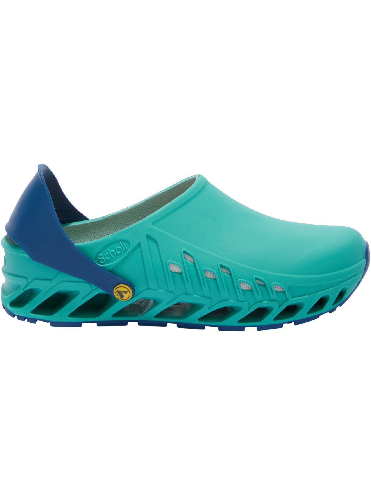 Scholl Evoflex