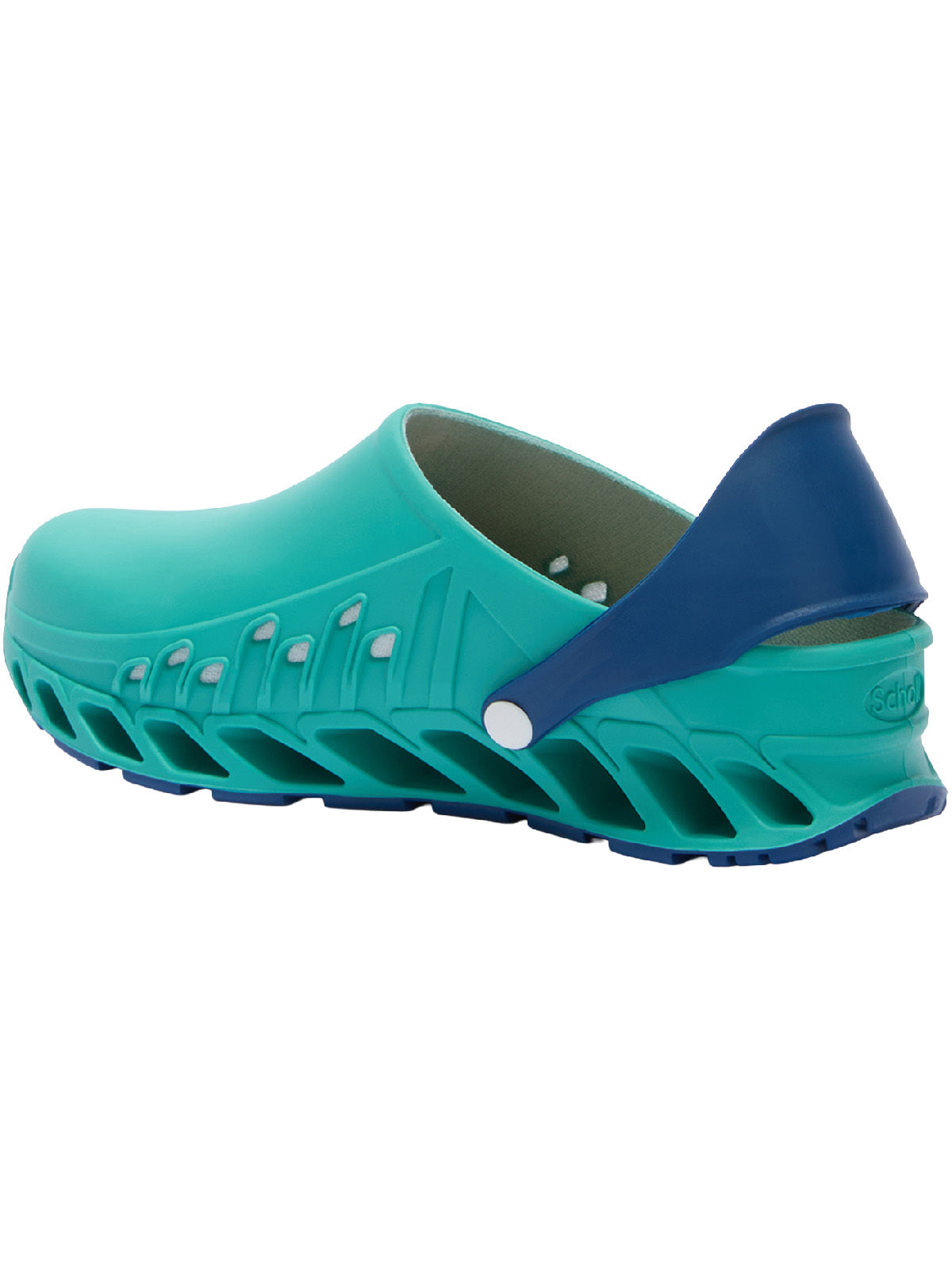 Scholl Evoflex