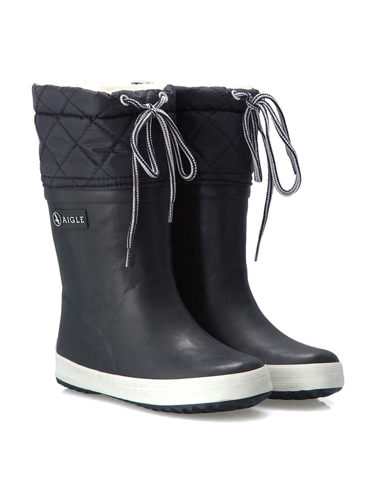 Aigle Giboulee