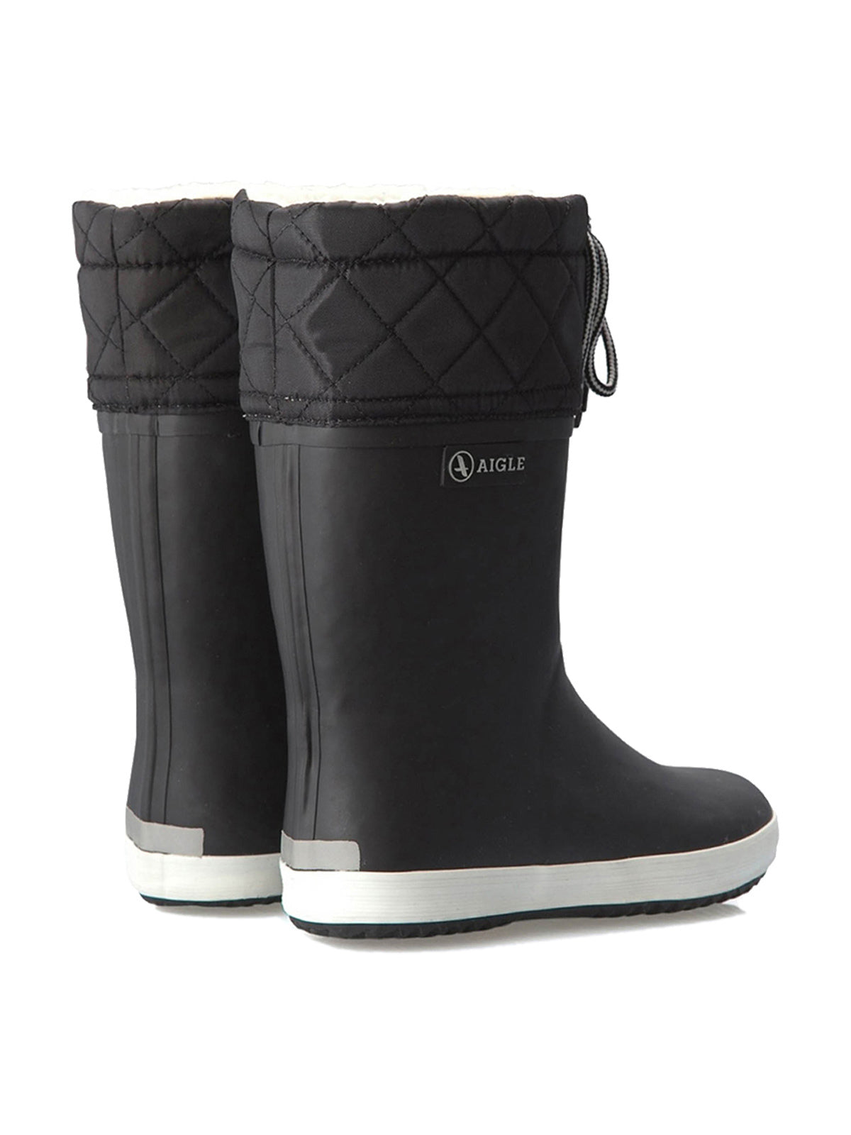 Aigle Giboulee
