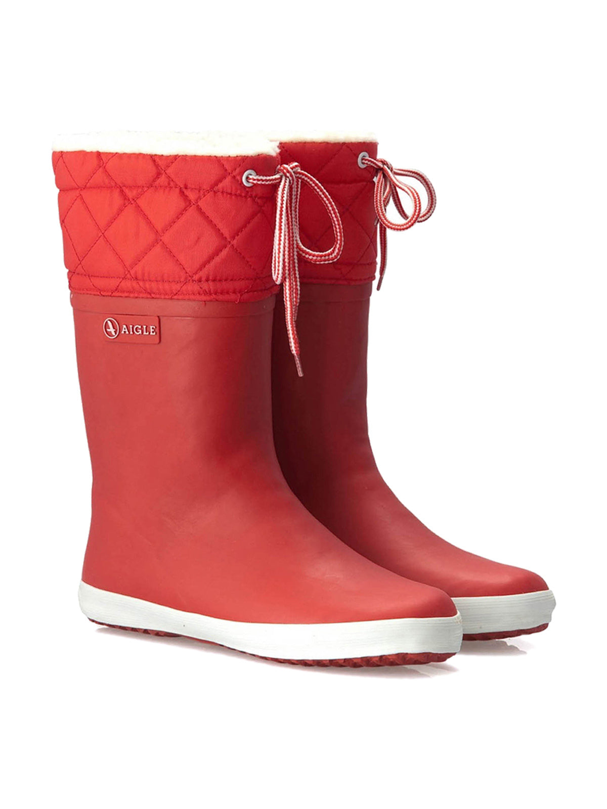 Aigle Giboulee