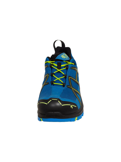 Haix Black Eagle Safety 40.1 low