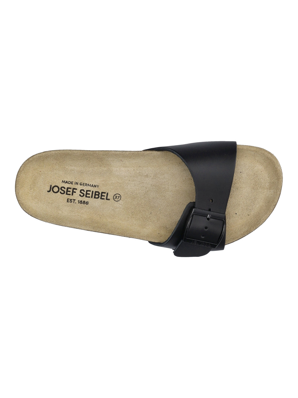 Seibel Hermine 03